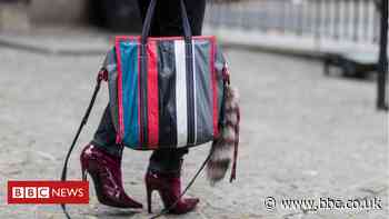 Israel moves to ban 'immoral' animal fur trade