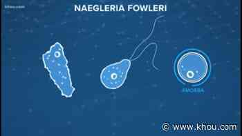 Brain-eating amoeba detected Lake Jackson water; 'do not use' advisory remains in effect - KHOU.com