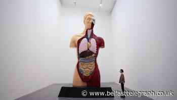 Damien Hirst exhibition featuring early works goes on display in London