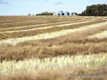 Feds reveal details of $35M fund to help make farms safer in COVID-19 pandemic