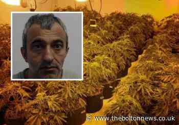 Increasing numbers of 'gardeners' trafficked to Bolton to grow cannabis - The Bolton News