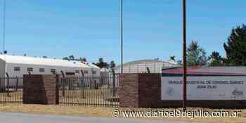 Coronel Suárez: proyectan instalar un reactor pirolítico para reducir residuos - Diario El 9 de Julio