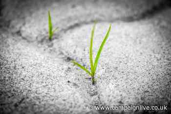 Uptick in marketer confidence as fewer brands postpone spend