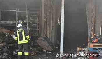 FORLI': Incendio al pet shop “Robinson”, le videocamere scovano il piromane | VIDEO - Teleromagna24