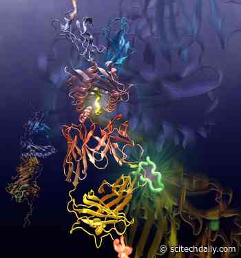 Discoveries Made in How the Immune System Detects Hidden Intruders Could Lead to New Viral and Cancer Treatments