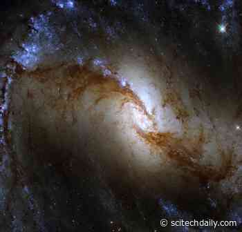 Survey of the Stars: Hubble Captures Great Barred Spiral Galaxy in a Fiery Furnace