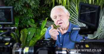 Can David Attenborough and Facebook help VR go mainstream?