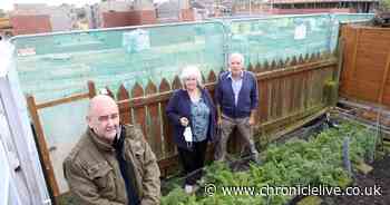 'I feel sold down the river' - Residents furious over housing development