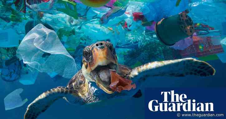 More than 14m tonnes of plastic believed to be at the bottom of the ocean