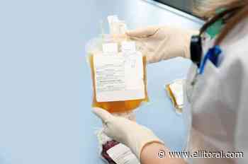 Buenos Aires: cerca de 5.000 enfermos de coronavirus recibieron plasma de pacientes recuperados - El Litoral