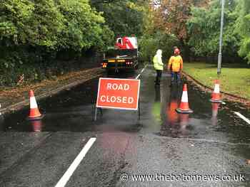 Sharples Hall Drive blocked as heavy rains cause tree to fall
