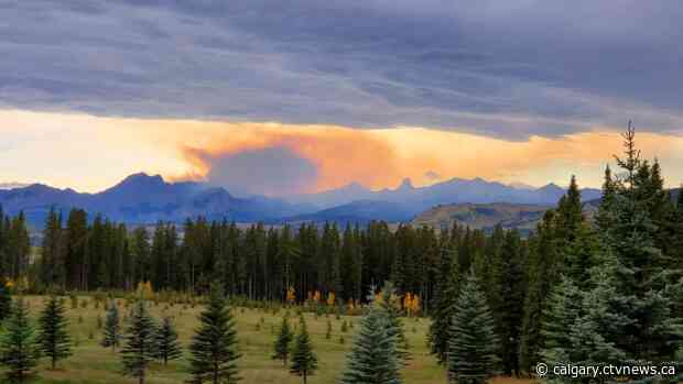 'Out of control' wildfire burns west of Waiparous Village, state of emergency declared