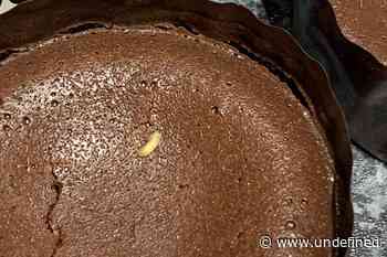 Woman 'horrified' after claiming to find maggot in Gu pudding