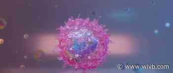 UB hoping to test Regeneron as COVID-19 treatment soon