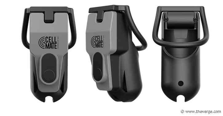 Internet-enabled male chastity cage can be remotely locked by hackers