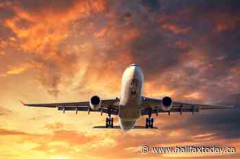 N.L. advises passengers on Toronto to Halifax flight to isolate and get tested for COVID-19 - HalifaxToday.ca