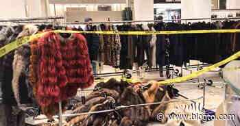 Animal rights activists storm Saks store in Toronto to protest sale of fur coats - blogTO