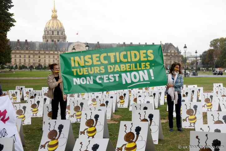 France eases ban on bee-threatening pesticide to help sugar sector