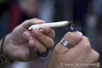 Evade dai domiciliari per comprare dell' "erba" e farsi una canna: sorpreso e arrestato - CataniaNews.it