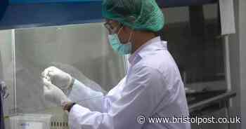 The £4m US-funded coronavirus study happening in Bristol