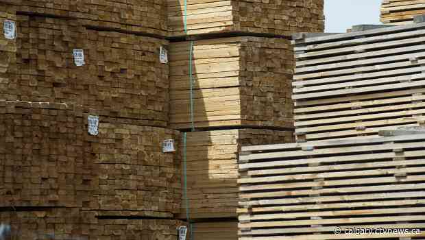 Lumber, panel prices expected to remain elevated despite recent declines