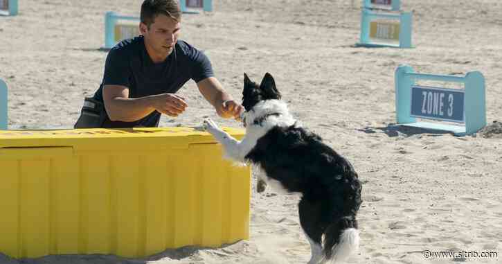 10 people — including 2 Utahns — and their dogs will compete for $500,000 on Amazon’s ‘The Pack’