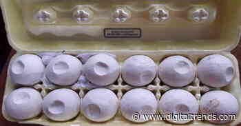 GPS-tracking, 3D-printed decoy eggs can help root out illegal poachers