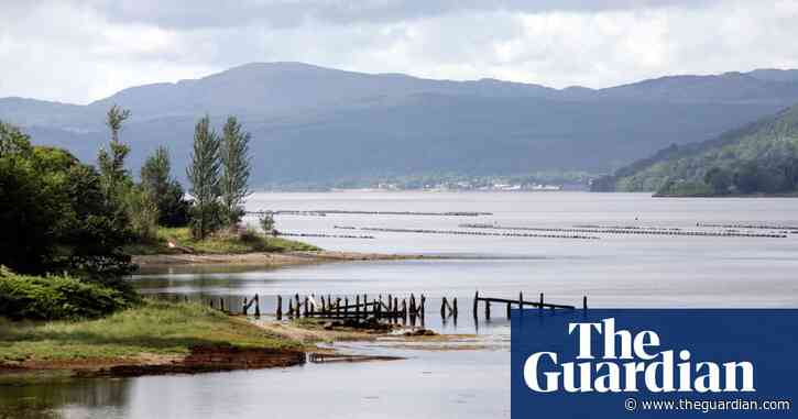 Sea bass bad, scallops super: charity updates sustainable fish guide