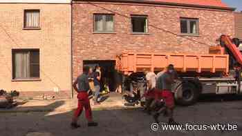 Drugsplantages ontdekt in Lichtervelde en Snaaskerke - Focus en WTV