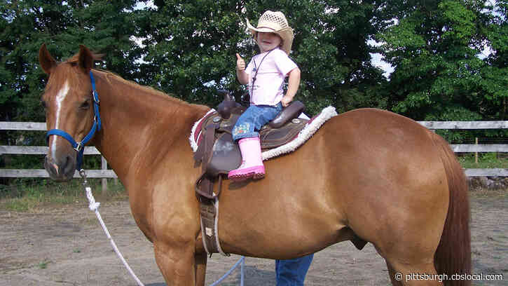 ‘Hippotherapy:’ Farm In Wexford Using Horses To Help People Relive Stress