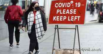 Scientists say life should return to normal for most people