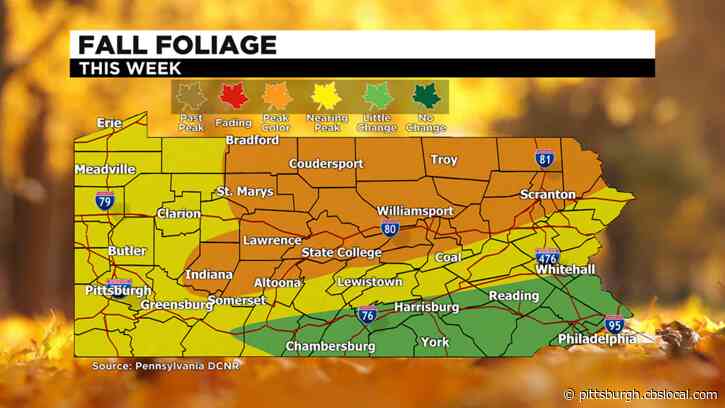The Beauty Of Fall: 2020 Fall Foliage Expected To Be One Of The Best