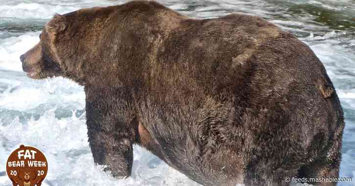 The Fat Bear Week winner is truly colossal
