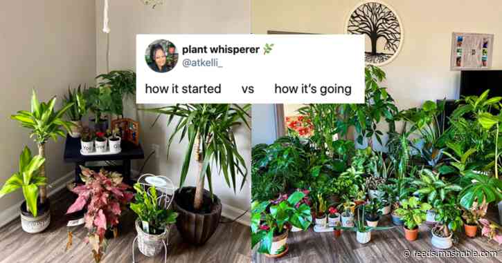 'How it started' meme takes over Twitter timelines