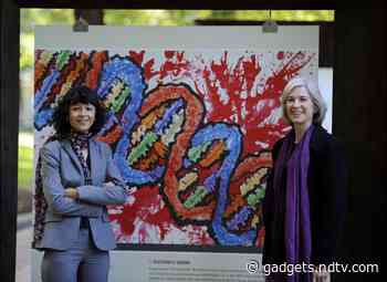 2020 Nobel Prize in Chemistry Awarded for CRISPR/Cas9 'Genetic Scissors'