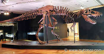 T. Rex Skeleton Brings $31.8 Million at Christie’s Auction