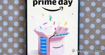 Prime Day vs. Black Friday: When is the best time to buy?     - CNET