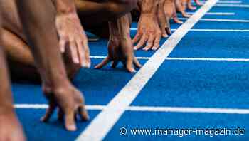 Produktivität: Darwin am Arbeitsplatz