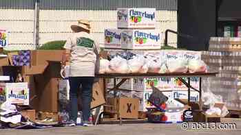 Houston Food Bank CEO says demand for food assistance remains high 7 months into pandemic - KTRK-TV