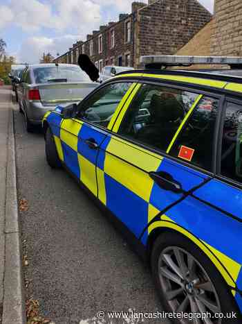 Driver in Nelson with child crawling around backseat stopped by police