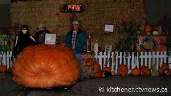Ontario trio approach Canadian pumpkin-growing record with 1,939 lb giant