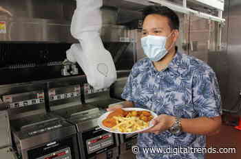 Flippy the fast food-prepping robot goes on sale for $30K