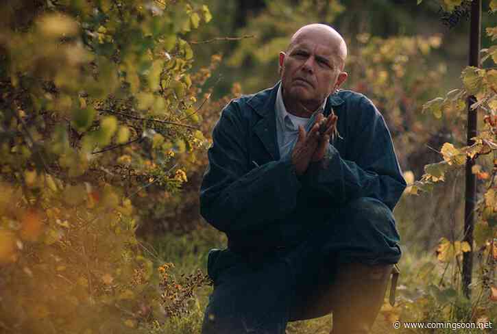 Exclusive From the Vine Clip Featuring Joe Pantoliano in the New Dramedy