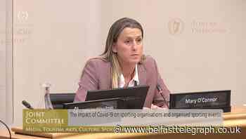 Sporting bodies have lost up to 70% of self-generated revenue, committee hears