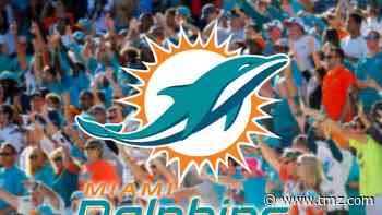 Miami Dolphins Get 'Full Capacity' Approval from Gov. for 65,000 Seat Stadium