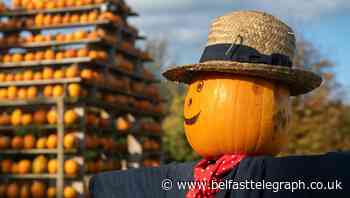 Skip trick or treating this Halloween, says Robin Swann