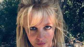 Britney Spears Lawyer Likened Her Mental Capacity to Comatose Patient