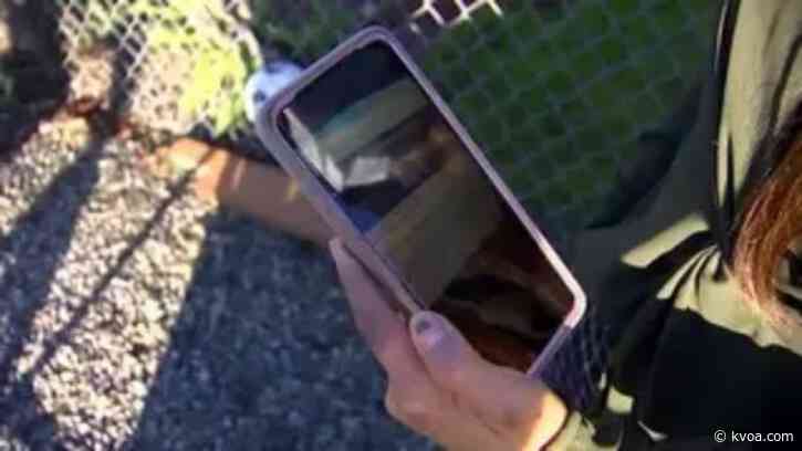 Parent: Teacher scolded her son for supporting President Trump