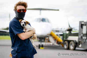 Houston SPCA heads to Louisiana to retrieve animals before Delta's landfall