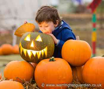 Warrington Halloween: Pumpkin picking and family attractions - Warrington Guardian